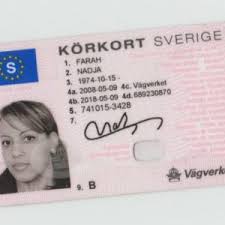 Svenska körkort, falskt körkort, kostnad för svenskt körkort, falskt körkort online, svenska pass